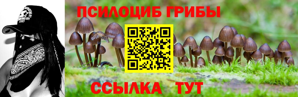 наркотики  Псилоцибиновые грибы мухоморы  Вход с VPN  Коммунар  Галлюциногенные грибы Psilocybe 