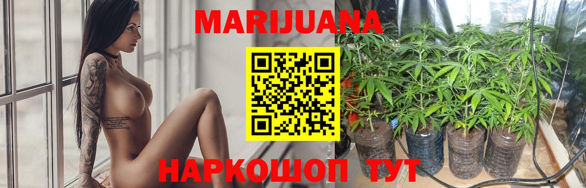 Шишки марихуана индика  Вход с VPN  Коммунар  МАРИХУАНА сатива  Шишки марихуана семена  Бошки Шишки Ganja 